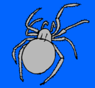 Dibujo Araña venenosa pintado por rogerguardar