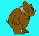Dibujo Bulldog inglés pintado por eugenio