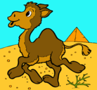Dibujo Camello pintado por koko