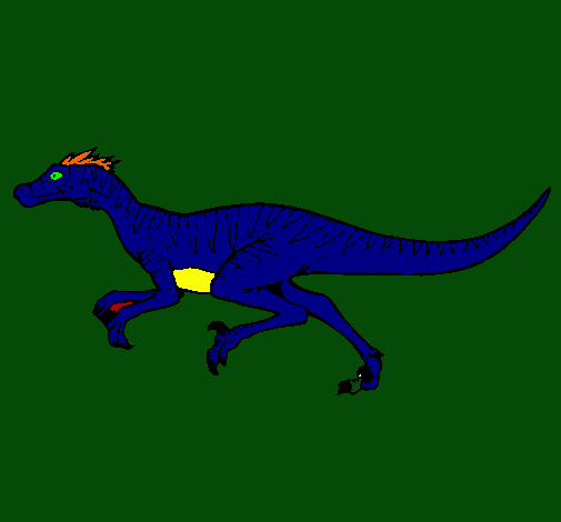 Velociraptor