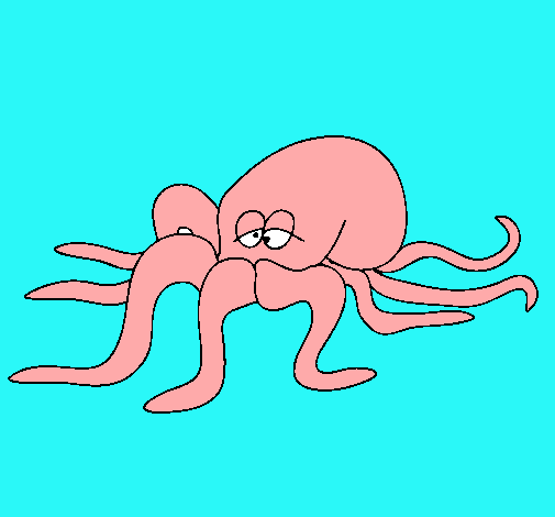 Pulpo