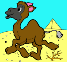 Dibujo Camello pintado por EZEQUIEL