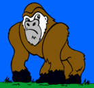 Dibujo Gorila pintado por jeanpier