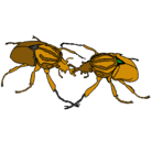 Dibujo Escarabajos pintado por germandavid