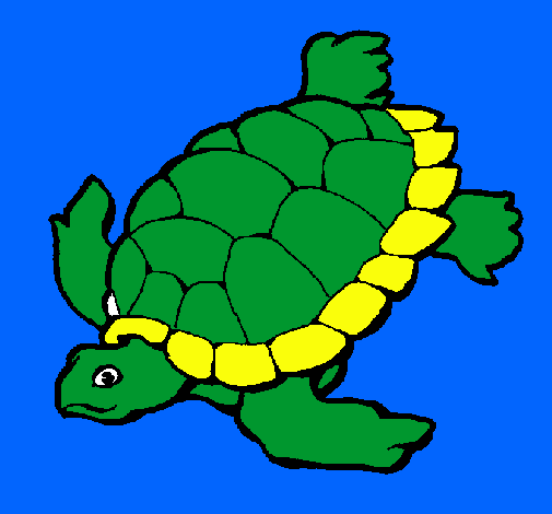 Tortuga