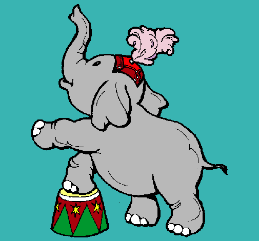 Elefante