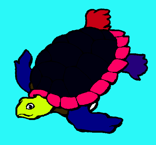 Tortuga