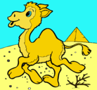 Dibujo Camello pintado por puma99