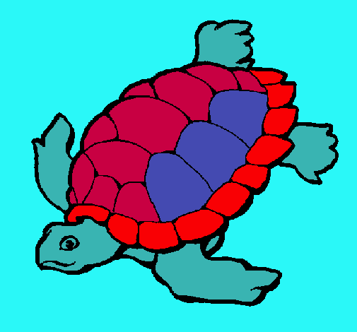 Tortuga