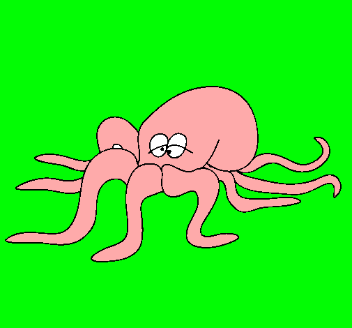 Pulpo