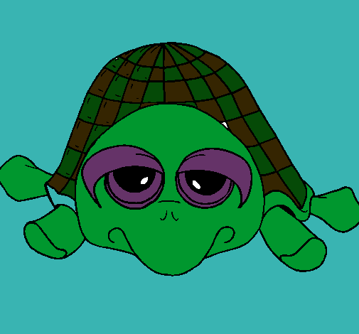 Tortuga