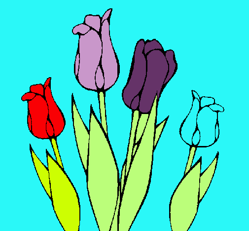 Tulipanes