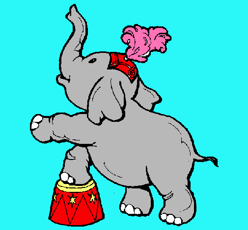 Elefante