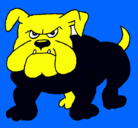 Dibujo Perro Bulldog pintado por MALO