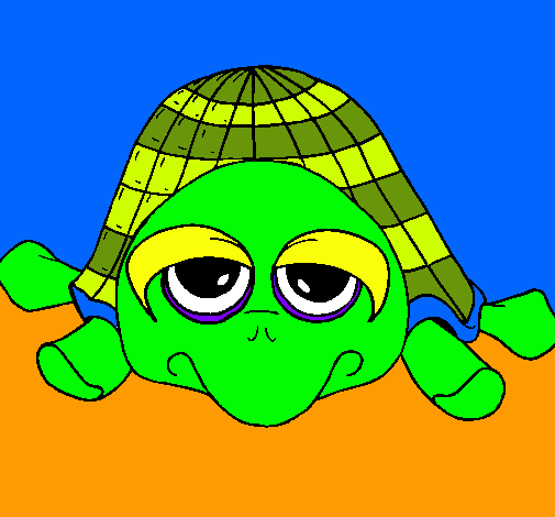 Tortuga