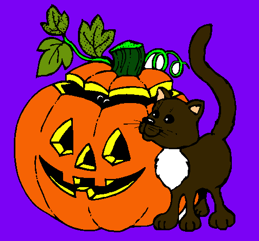 Calabaza y gato