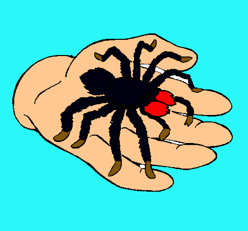 Tarántula