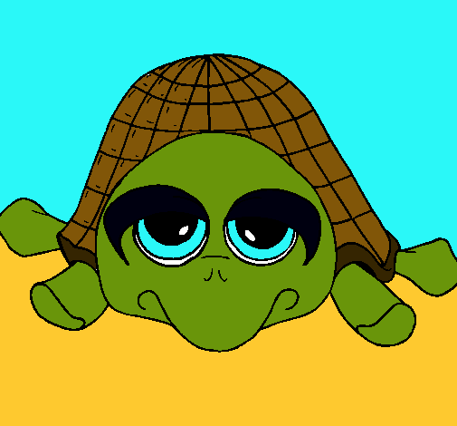 Tortuga