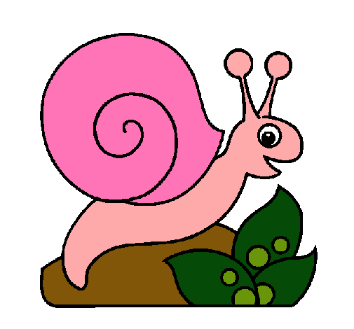 Caracol