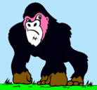 Dibujo Gorila pintado por luca