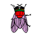 Dibujo Mosca negra pintado por mosca