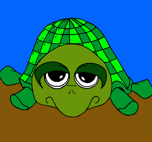 Tortuga