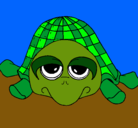 Dibujo Tortuga pintado por turttle