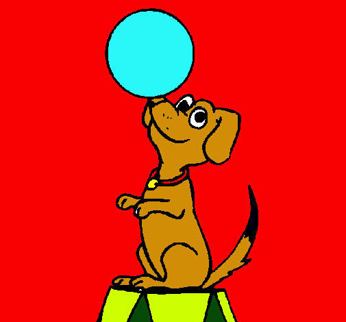 Perro de circo