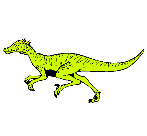 Velociraptor