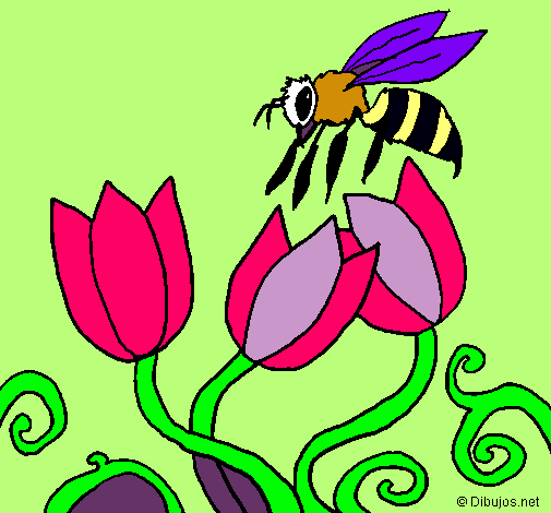 Abeja