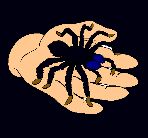 Tarántula