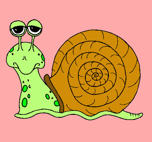 Caracol