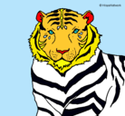 Dibujo Tigre pintado por oscarsalazarpealoza