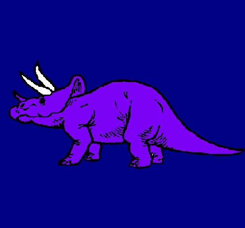 Triceratops