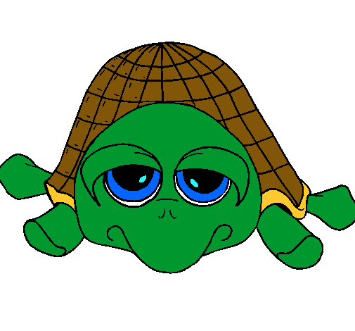 Tortuga