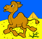 Dibujo Camello pintado por KEYDENS