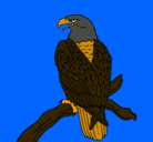 Dibujo Águila en una rama pintado por noelia