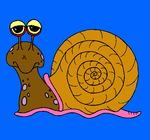 Caracol