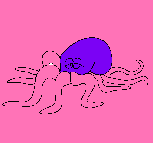 Pulpo