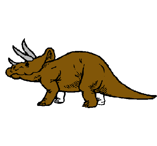 Triceratops