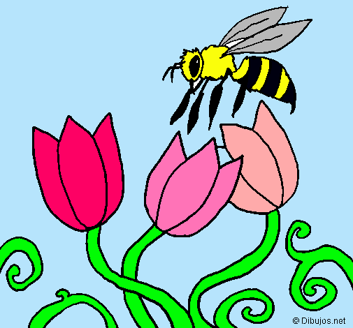 Abeja