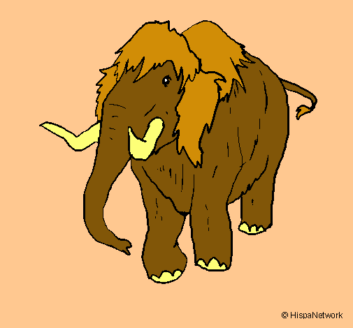 Mamut II