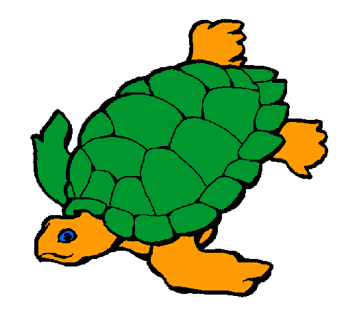 Tortuga