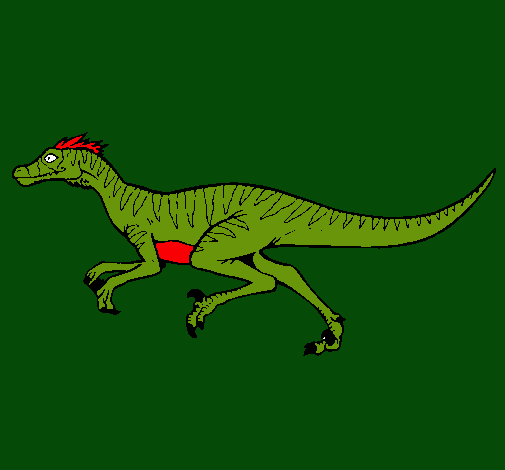 Velociraptor