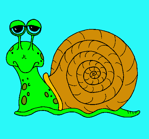 Caracol