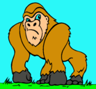 Dibujo Gorila pintado por julian