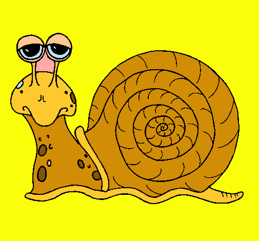 Caracol