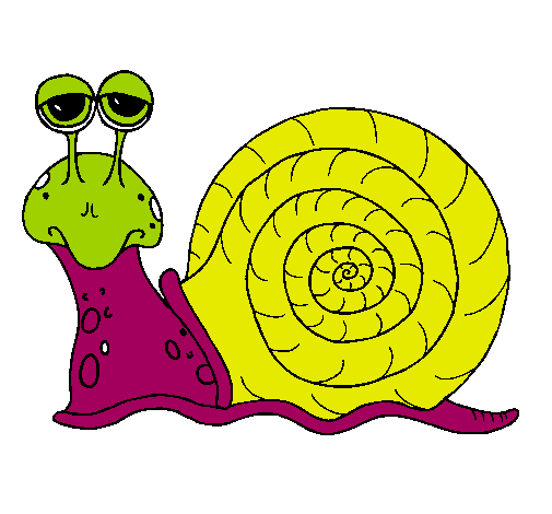 Caracol