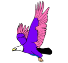 Dibujo Águila volando pintado por NATALIA