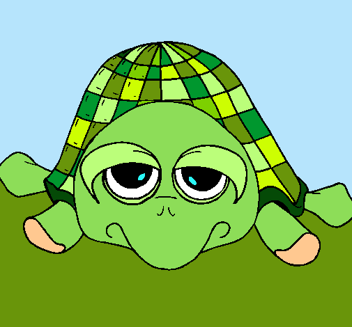 Tortuga